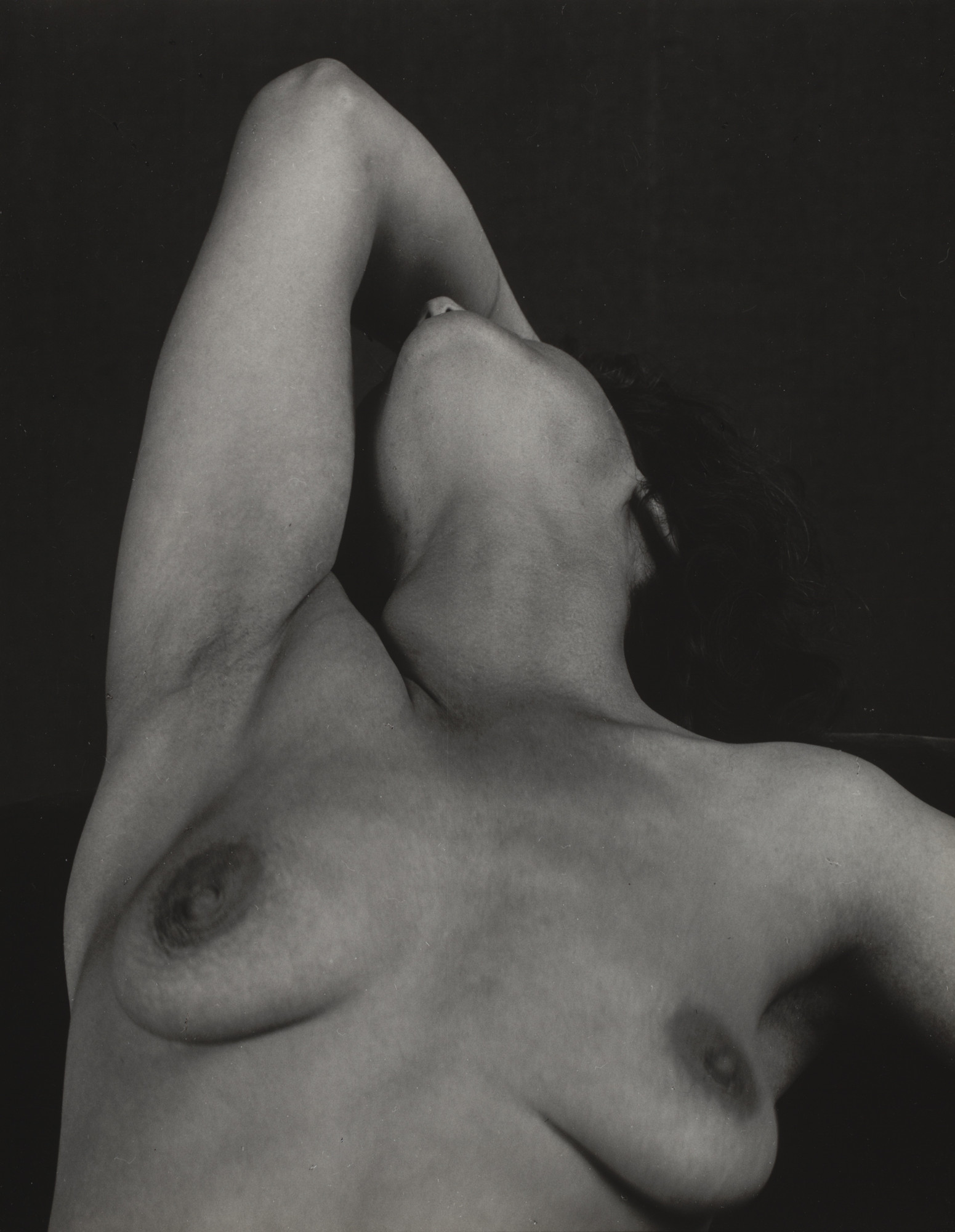 Edward Weston. Nude