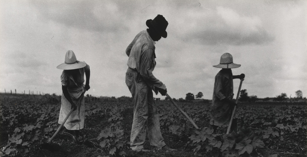 Sharecroppers, Eutaw, Alabama