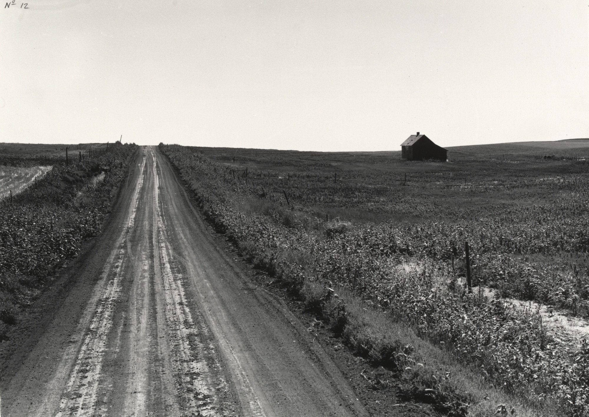 Dorothea Lange. Road on the Great Plains. 1941