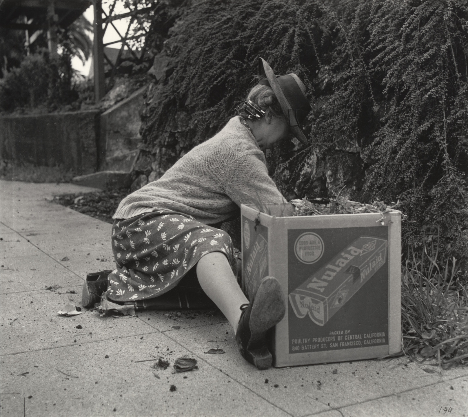 Dorothea Lange. Spring in Berkeley. 1952