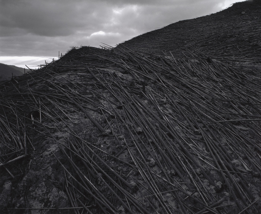 Aerial view: downed forest near Elk Rock. Approximately ten miles northwest of Mount St. Helens