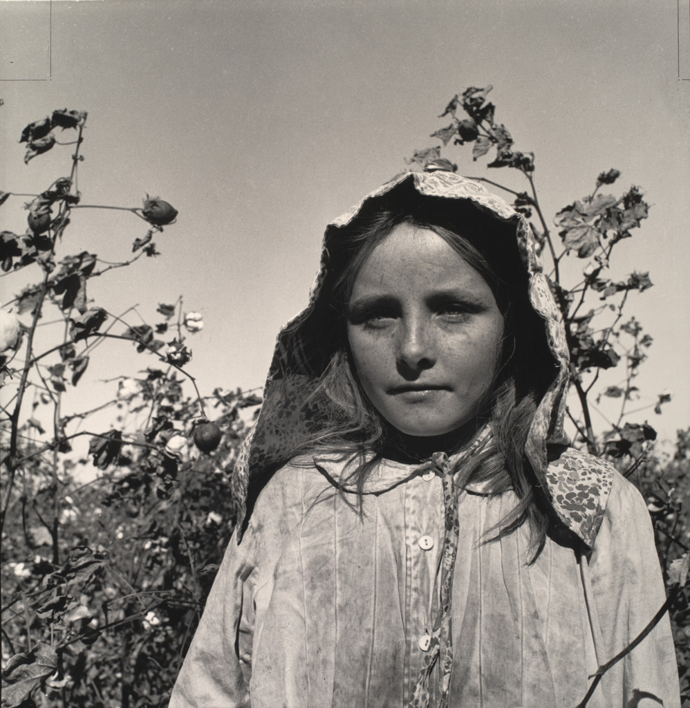Young Migratory Cotton Picker, Casa Grande, Arizona
