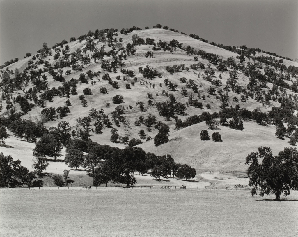 Hillside