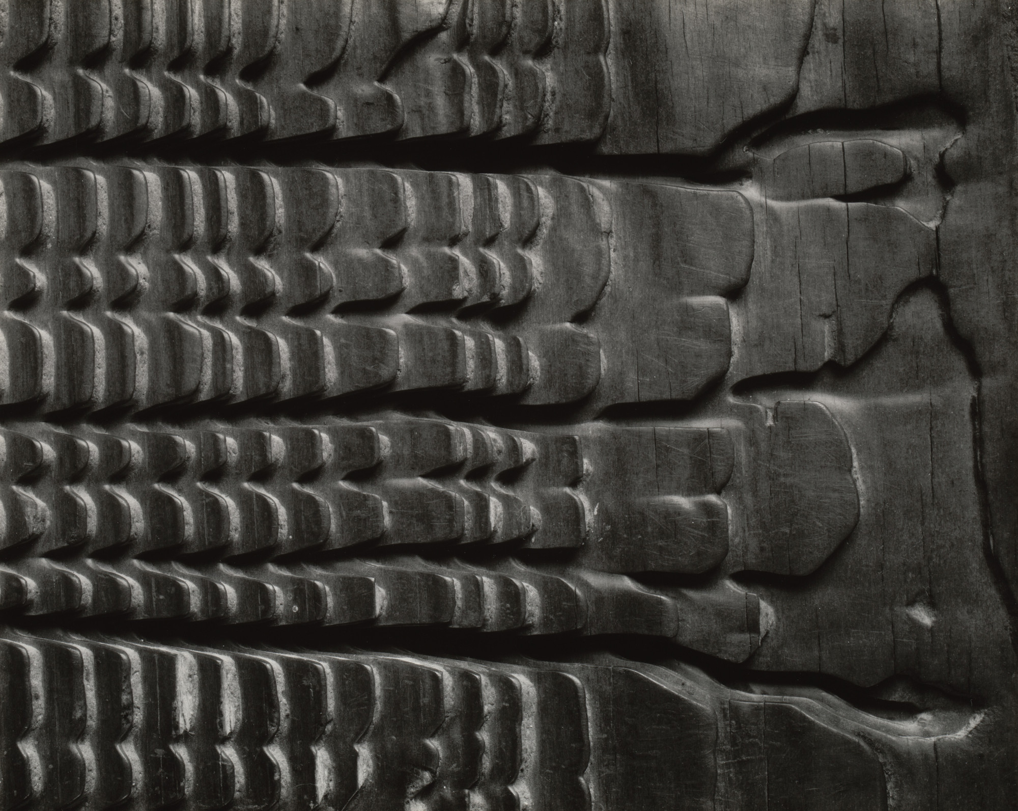 Edward Weston. Eroded Plank from Barley Sifter