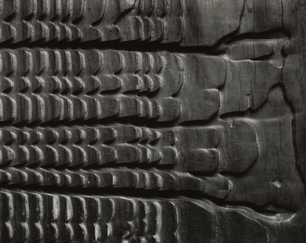 Eroded Plank from Barley Sifter