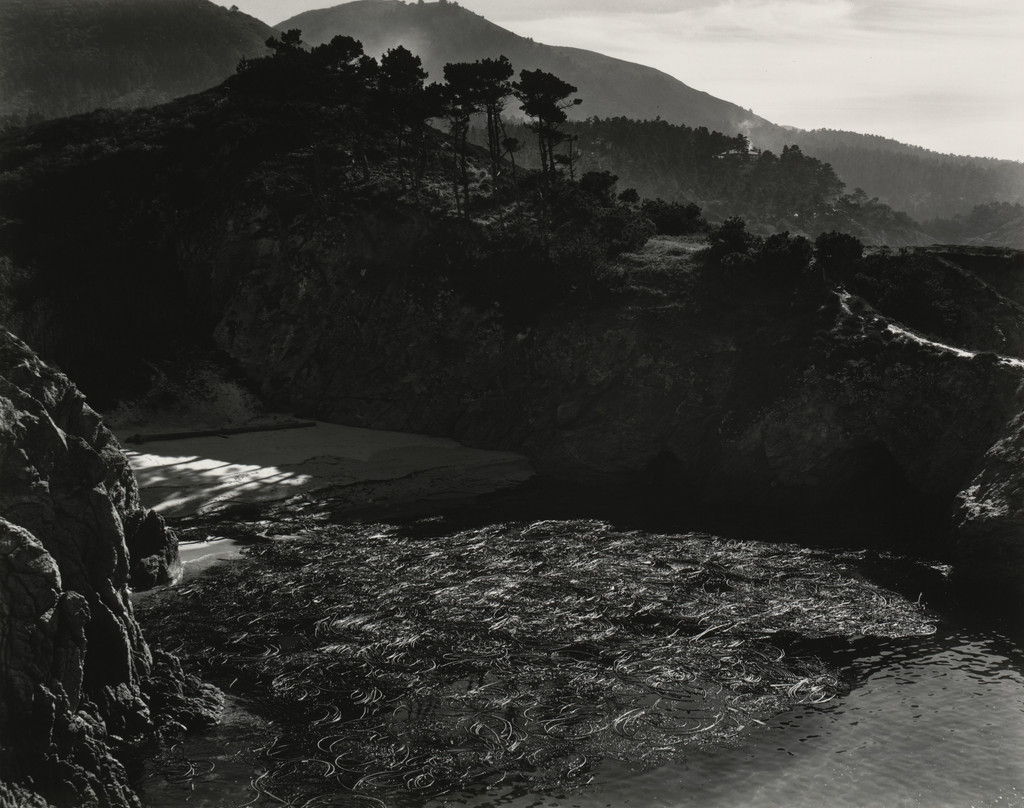 China Cove, Point Lobos
