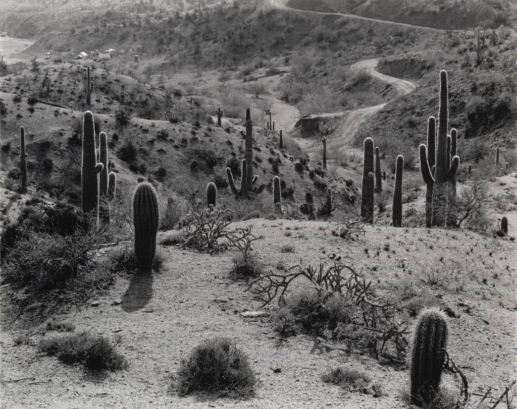 At San Carlos Lake, Arizona