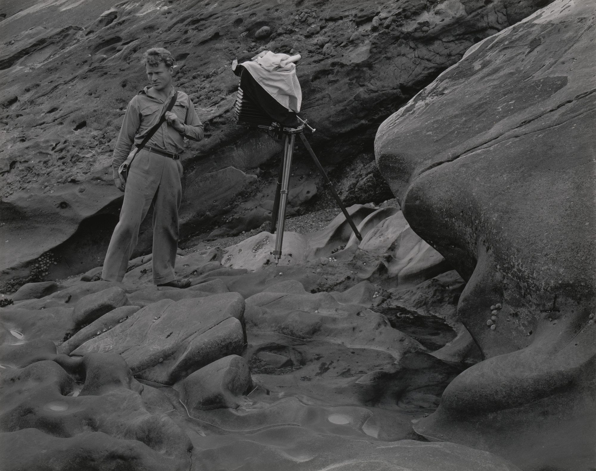 Edward Weston. Brett on Point Lobos