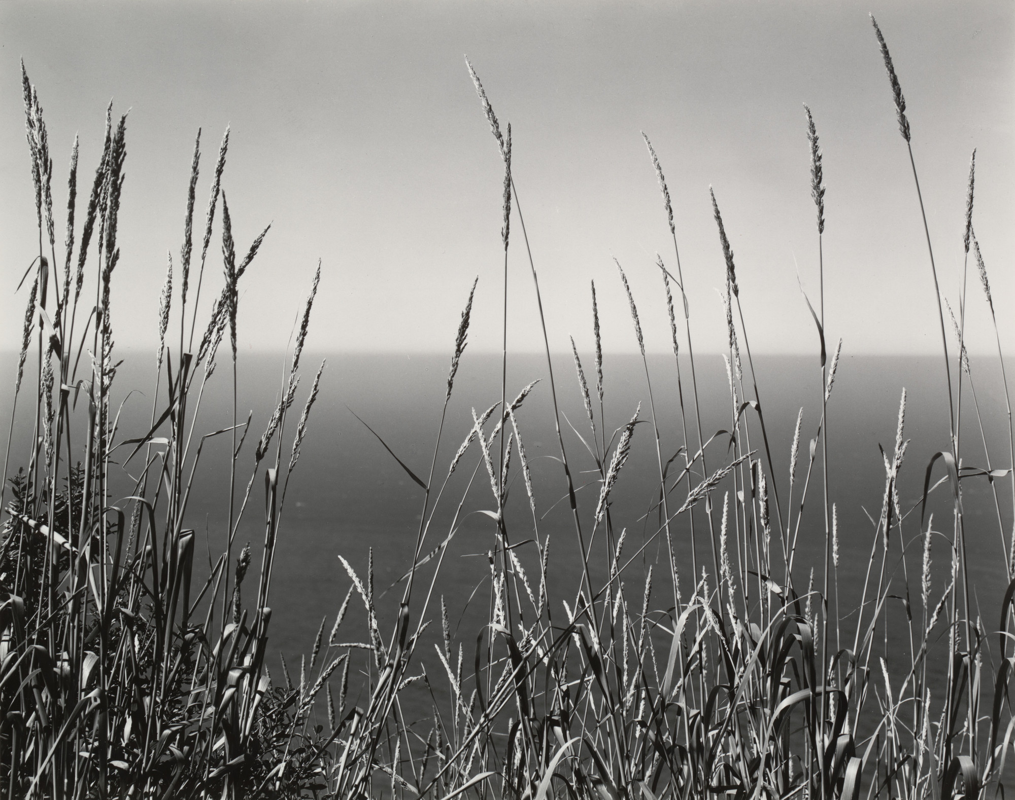 W1siZiIsIjIwOTY4NCJdLFsicCIsIm