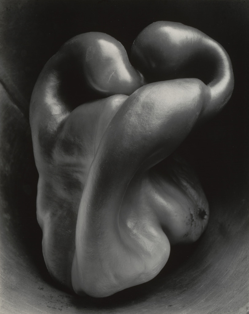 Pepper No. 30, Edward Weston, 1930