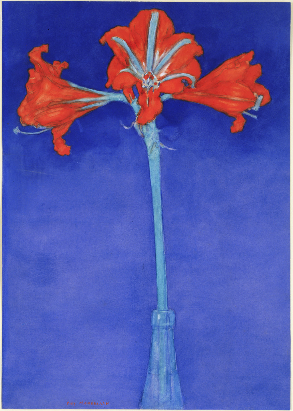 Piet Mondrian. Red Amaryllis with Blue Background. c. 1907