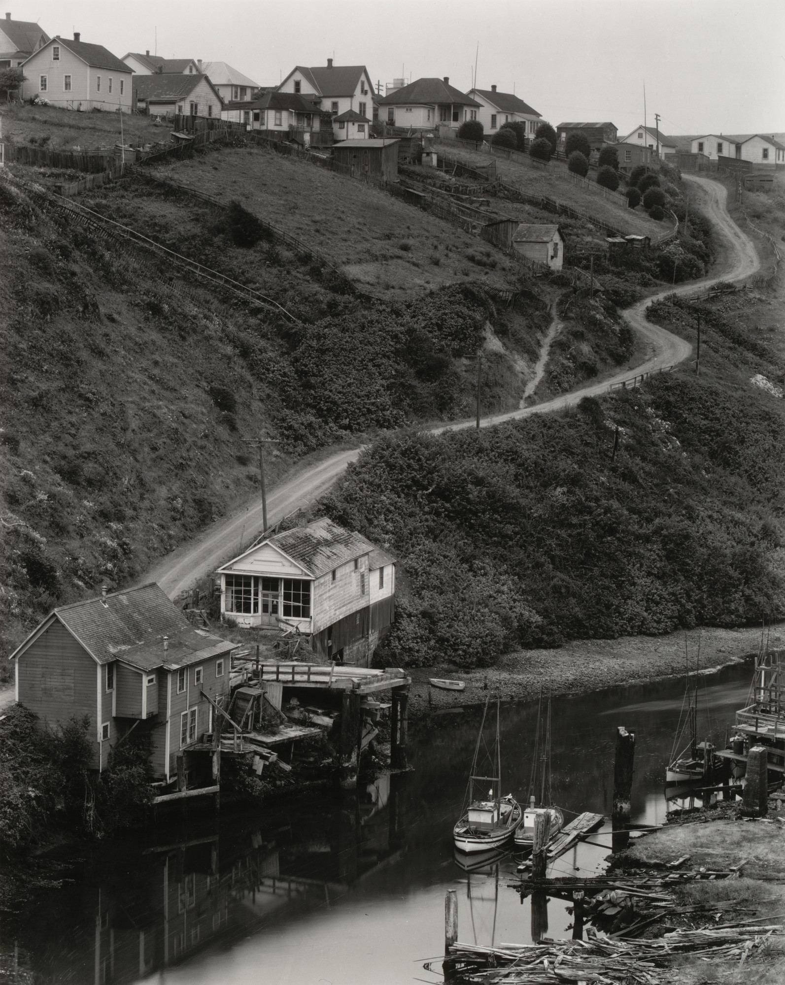 Edward Weston. Albion, North Coast