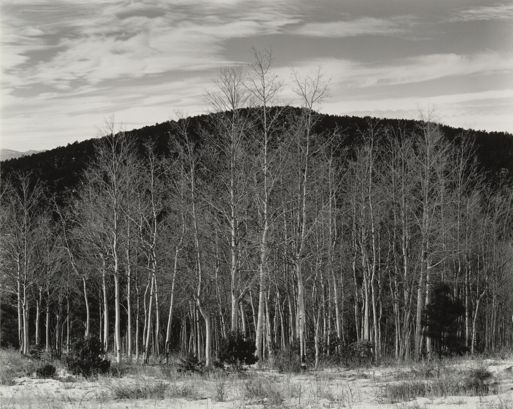 Aspen Valley, New Mexico