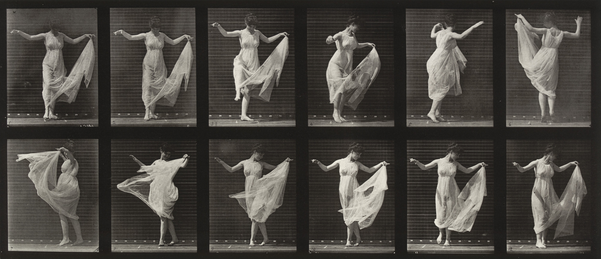 アート・デザイン・音楽 Eadweard Muybridge. Eadweard J. Muybridge. Woman Dancing (Fancy): Plate 187 from