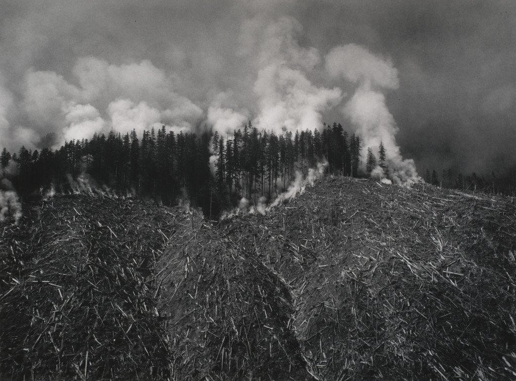 Crescent Camp Number One, Timber Views Co., Seattle