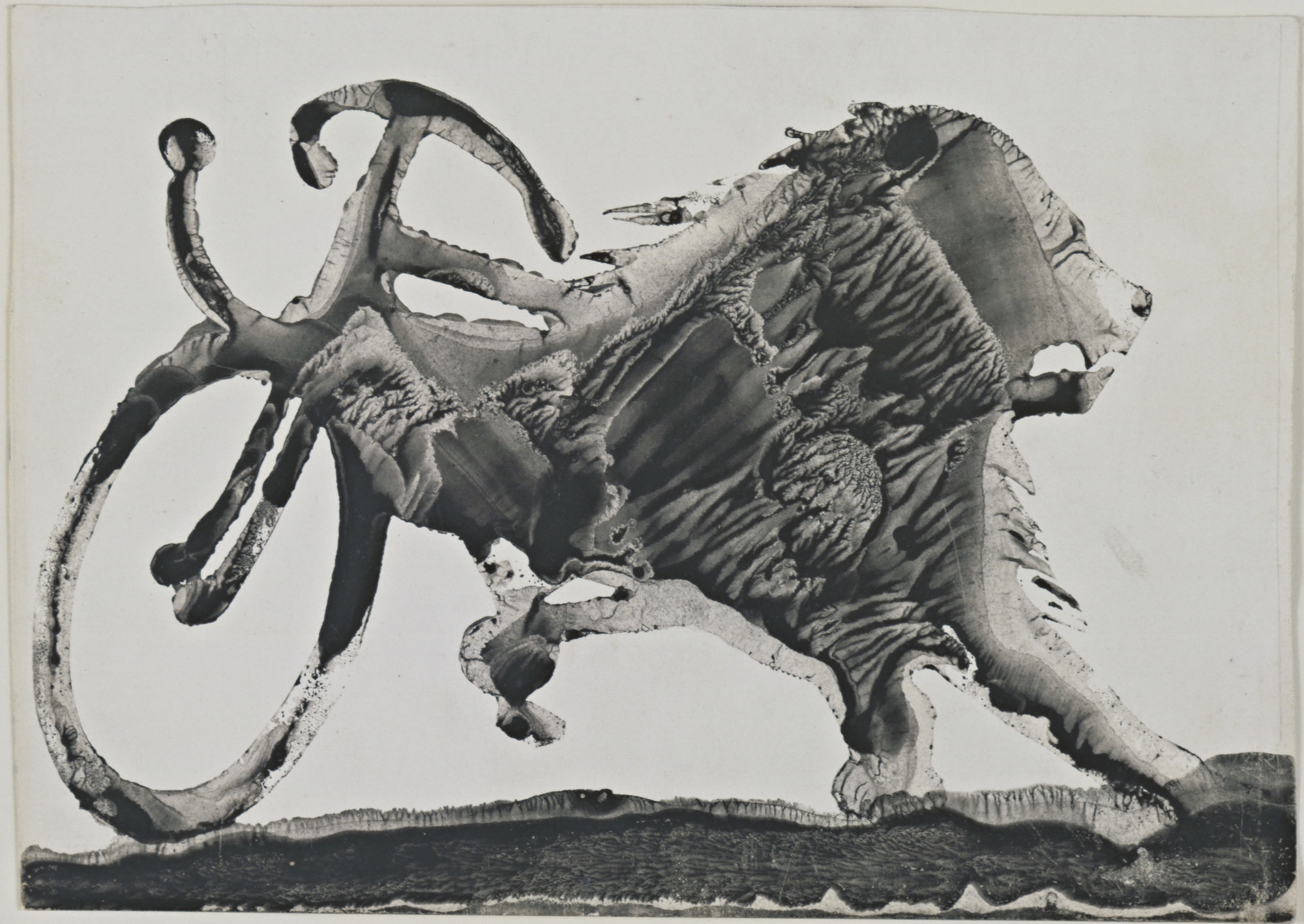 Decalcomania Moma