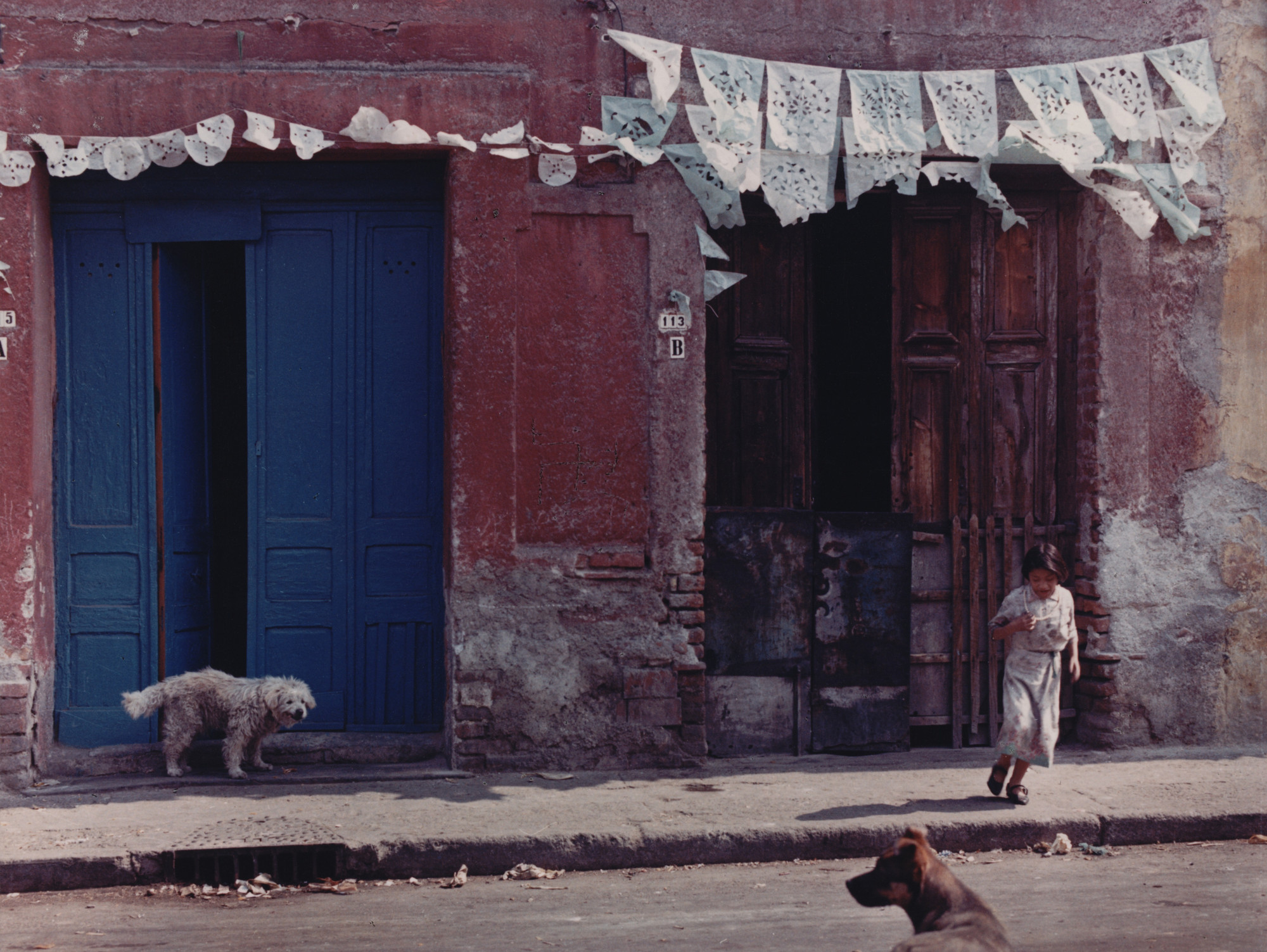 Manuel Álvarez Bravo. Untitled