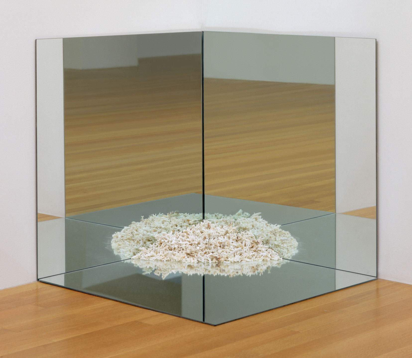 Robert Smithson. Corner Mirror with Coral. 1969