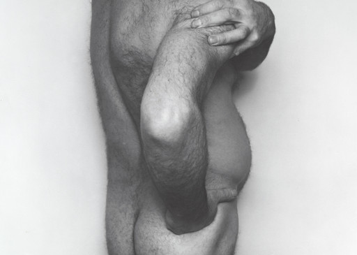 Torso