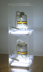 Jeff Koons. New Shelton Wet/Dry Doubledecker. 1981