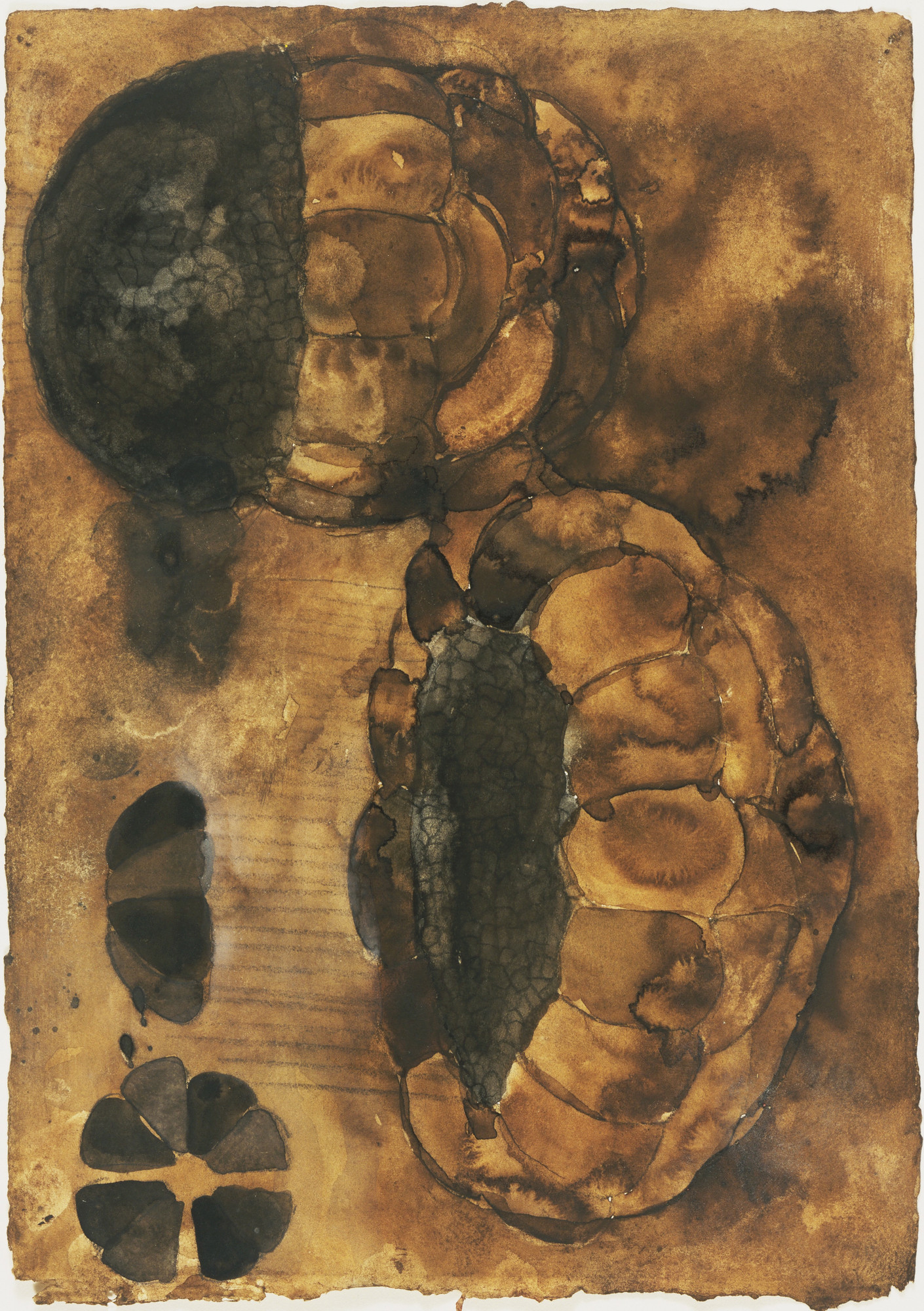 Terry Winters. Schema (65)