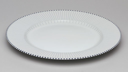 Rays Plate