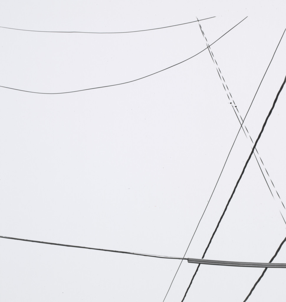 Telephone Wires