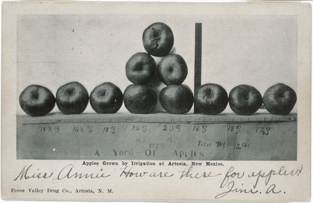 Apples Grown by Irrigation at Artesia, New Mexico