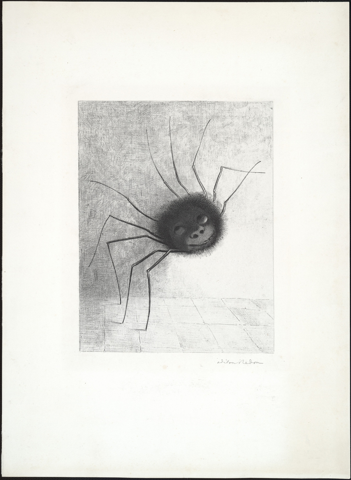 Odilon Redon. Spider (Araignée)