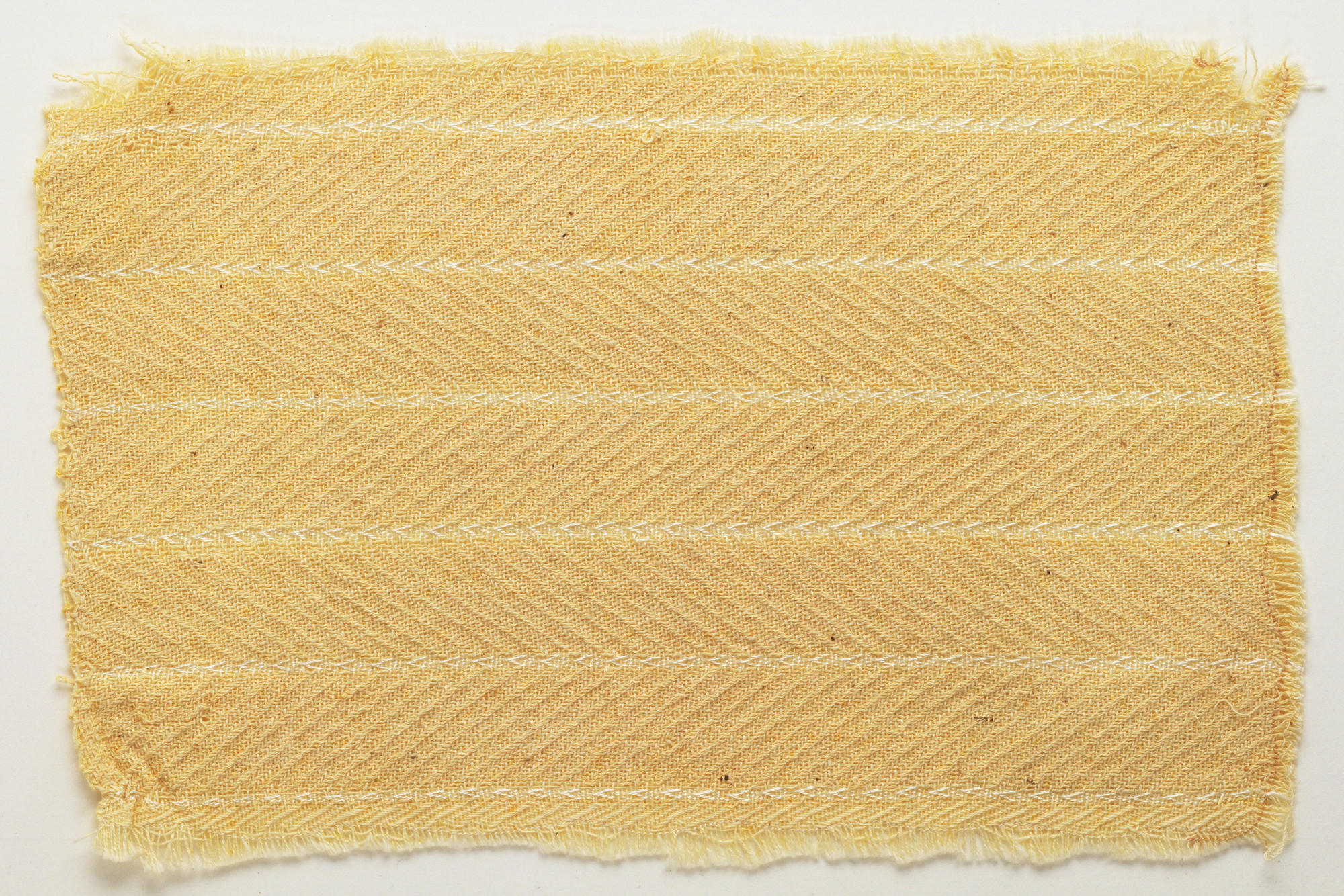 Anni Albers. Woven Fabric Sample