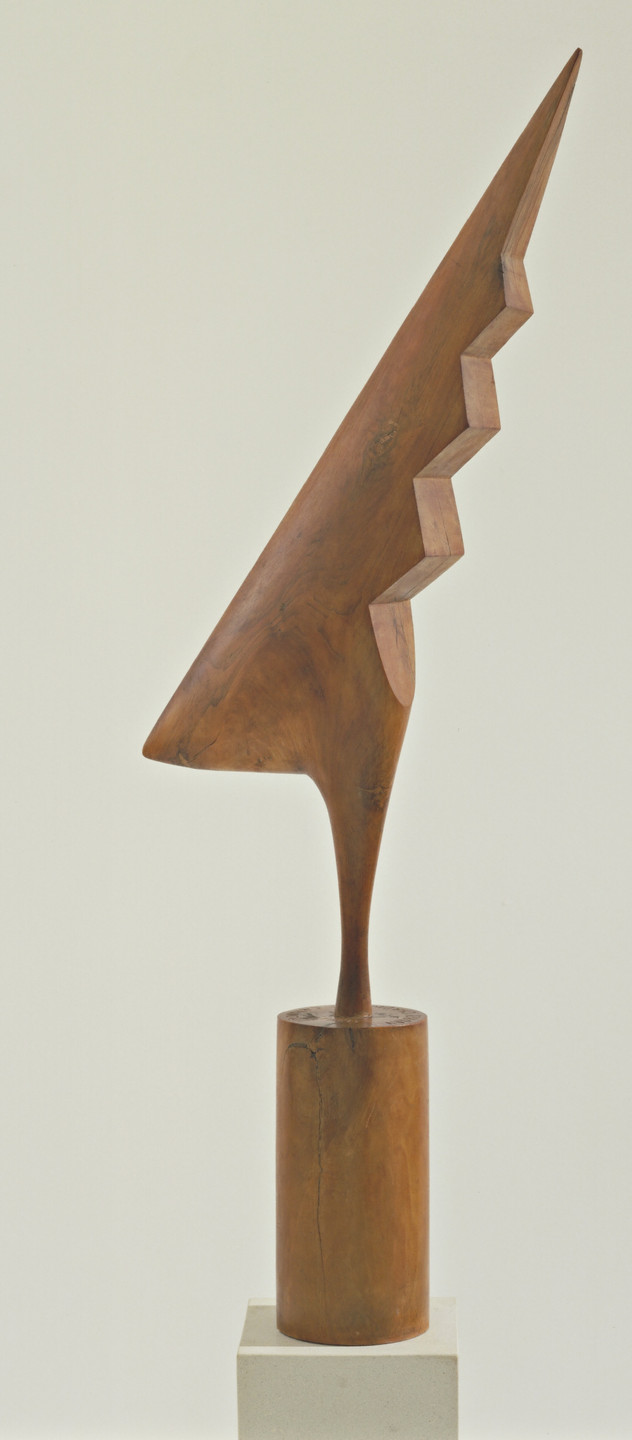 Constantin Brâncuși. The Cock. Paris 1924