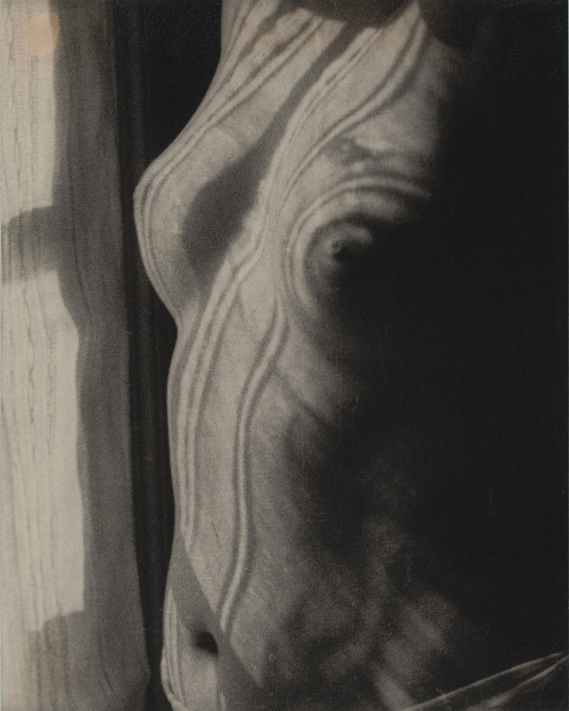 Torso
