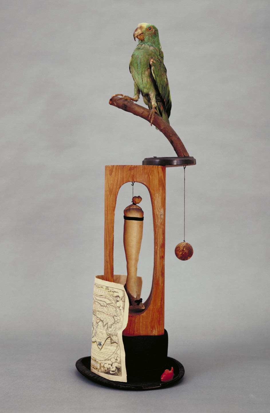 A green parrot is perched on a branch mounted above a wooden frame that holds a cylindrical object and a hanging ball. A map is draped over part of the frame, which stands on a black hat with a small red object beside it. This is an AI generated description. To give feedback, email ai@moma.org.