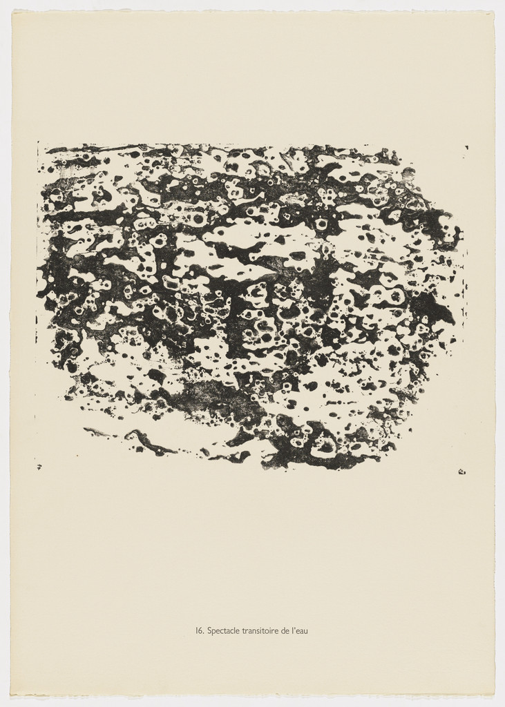 Transitory Spectacle of Water (Spectacle transitoire de l'eau) from the portfolio Earth and Water ( La Terre et l'eau) from Phenomena (Les Phénomènes)