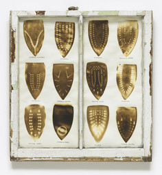 Willie Cole. Domestic I.D. IV. 1992