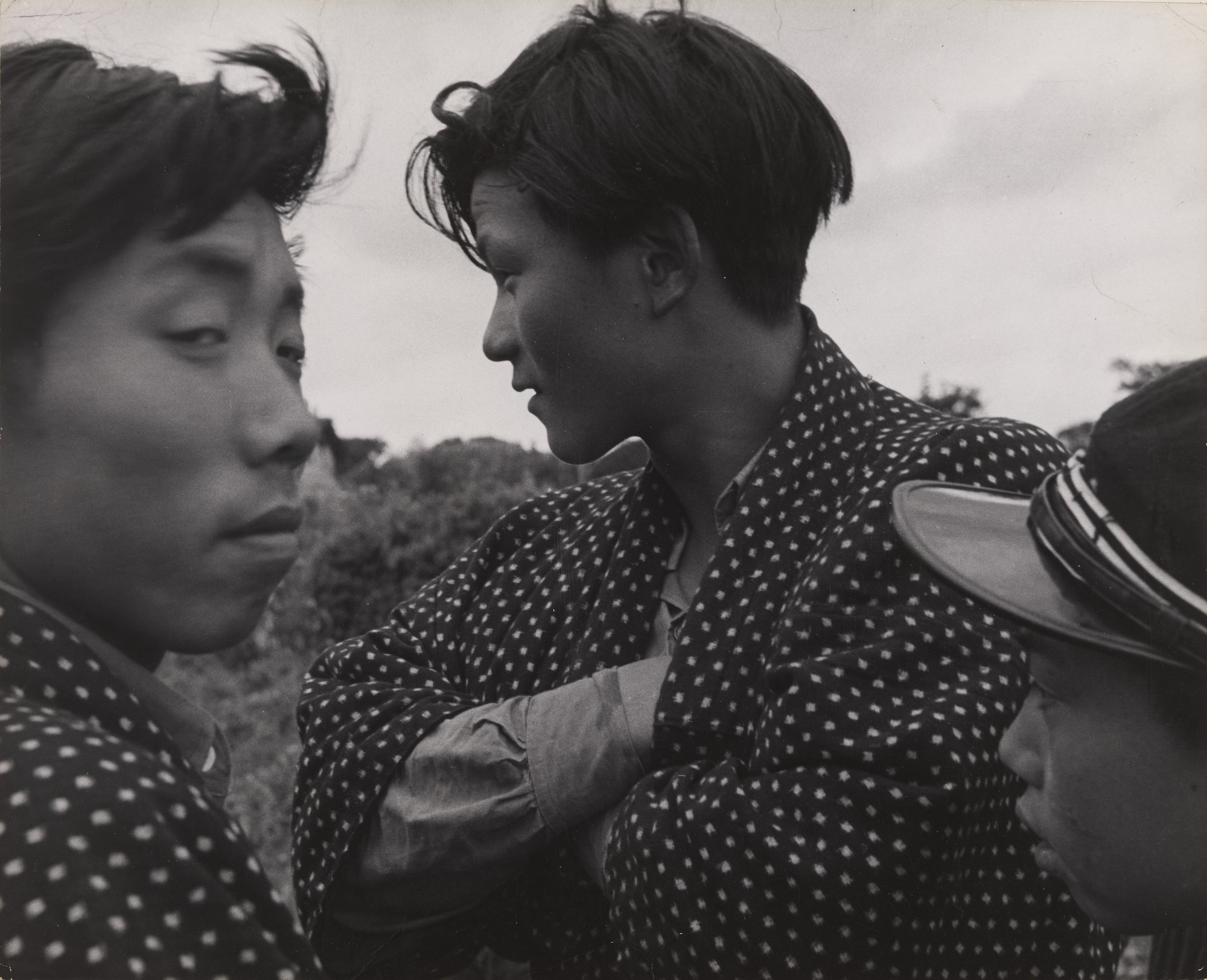 Ihei Kimura. Untitled. Spring 1953 | MoMA