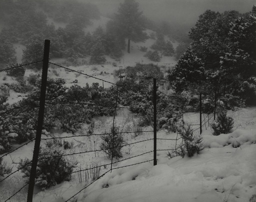 Fence, Snow, Santa Fe, New Mexico
