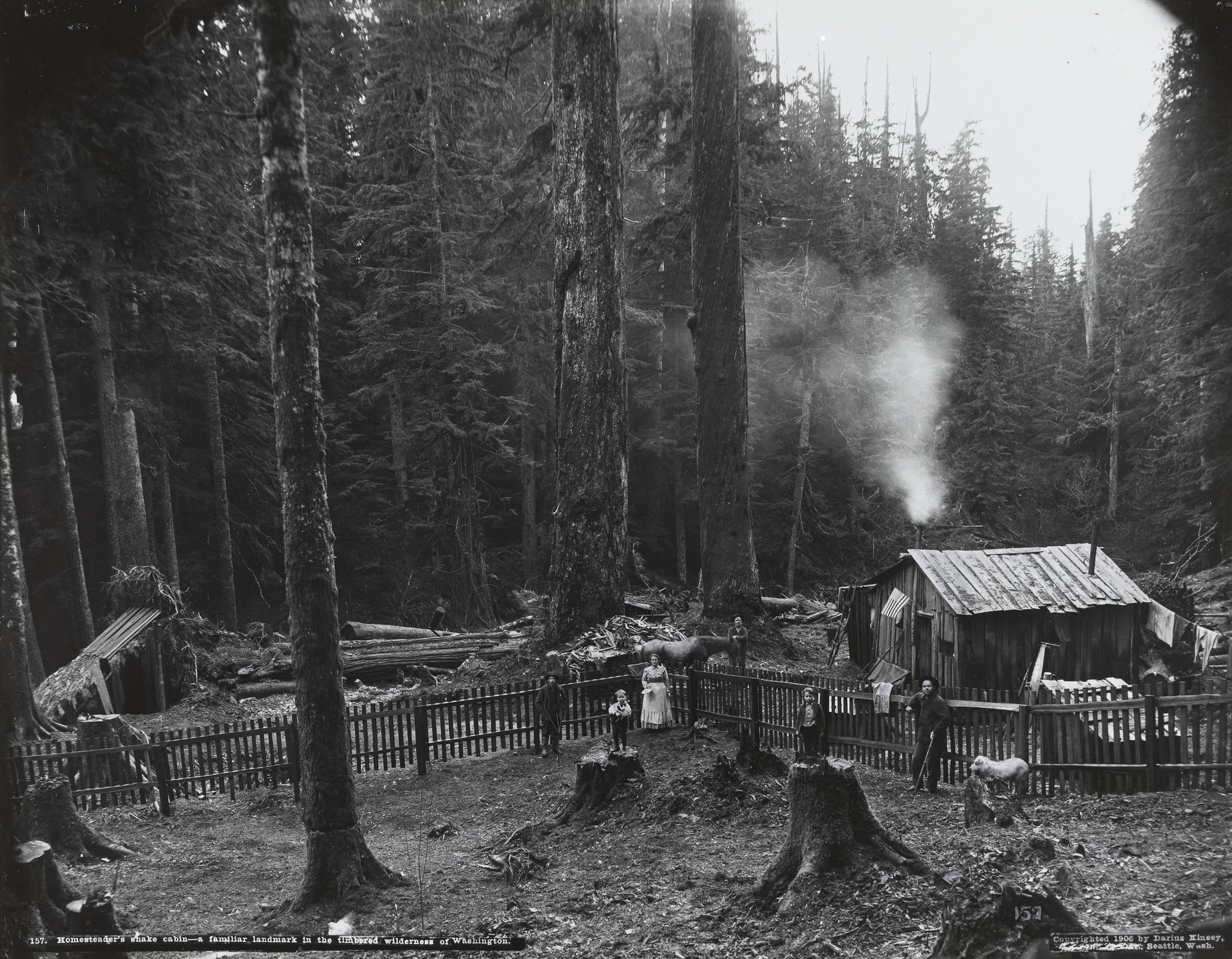 Darius Kinsey. Homesteader&#39;s Shake Cabin. 1906