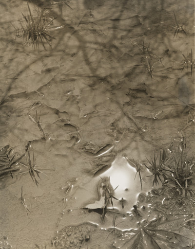 Puddle