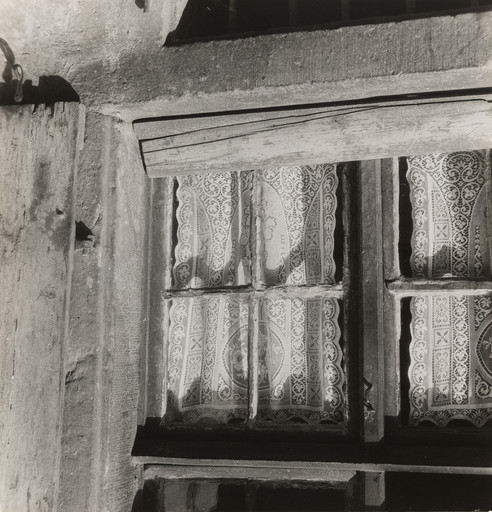 Window