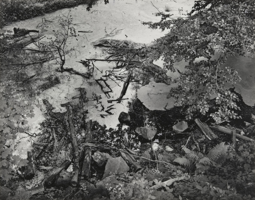 Untitled (Bomb crater/Kortner Sumpf)