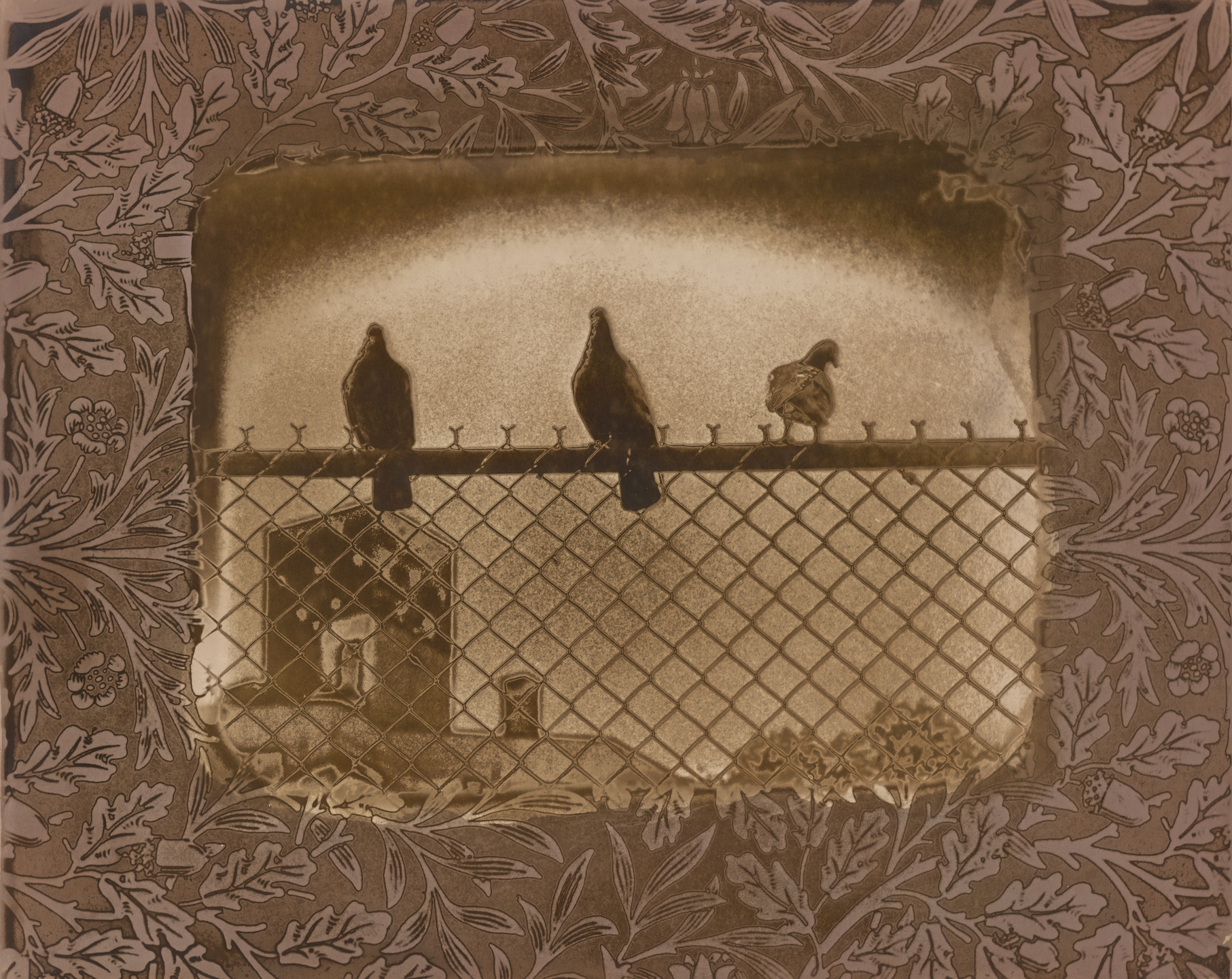 Judy Seigel. Pigeons, Village Square. 1980