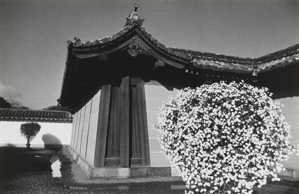 Nijo Castle of Kyoto