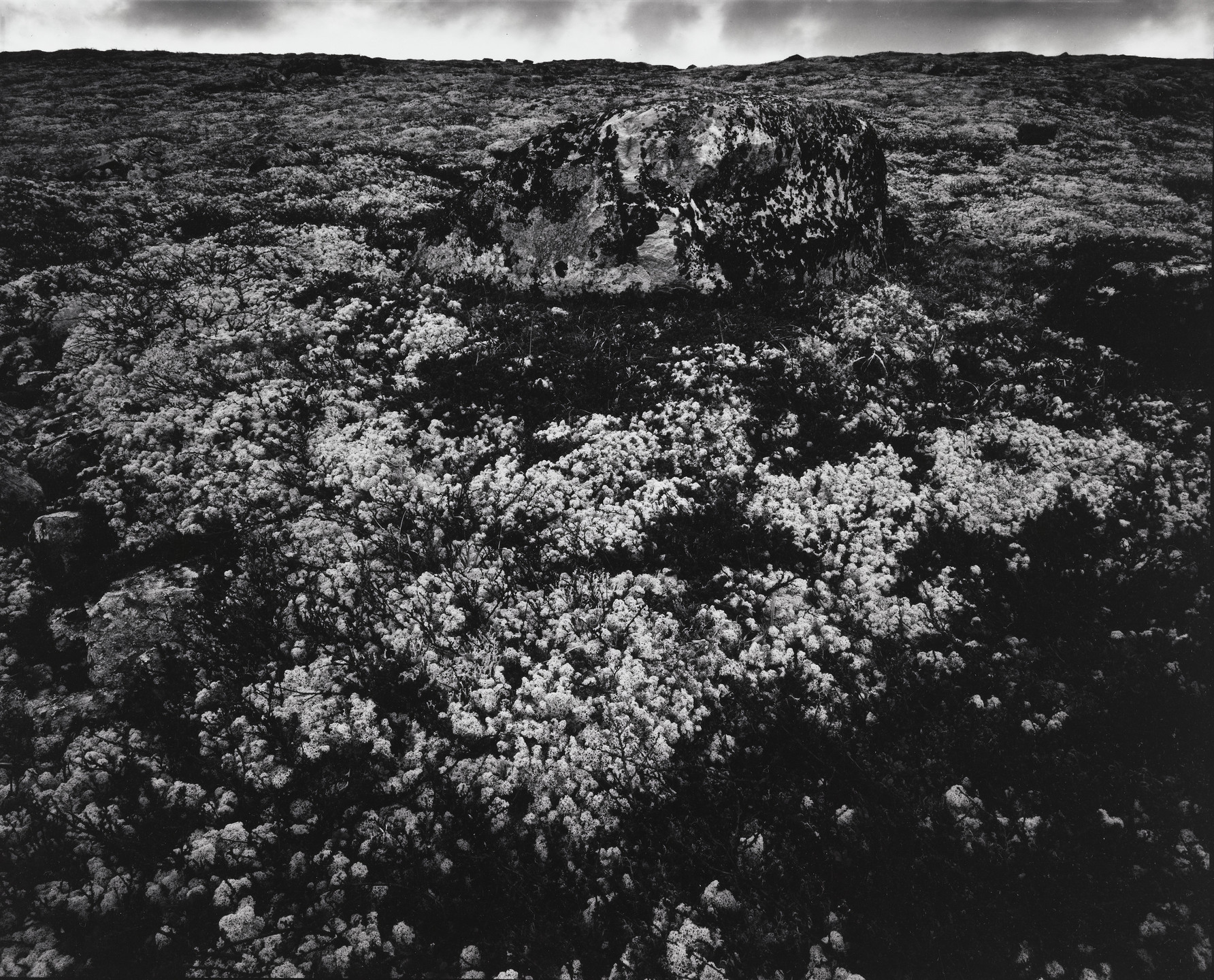 Jim Bengston. Untitled (Landscape with large stone, lichens). October 1980