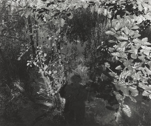 Jezioro Roznow