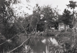 An-My Lê. Untitled, Mekong Delta. 1994