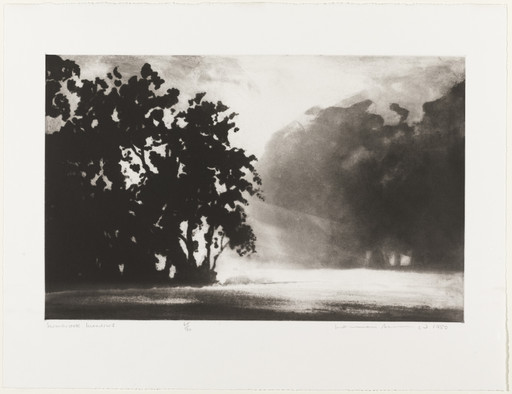 Norman Ackroyd. Swinbrook Meadows. 1980