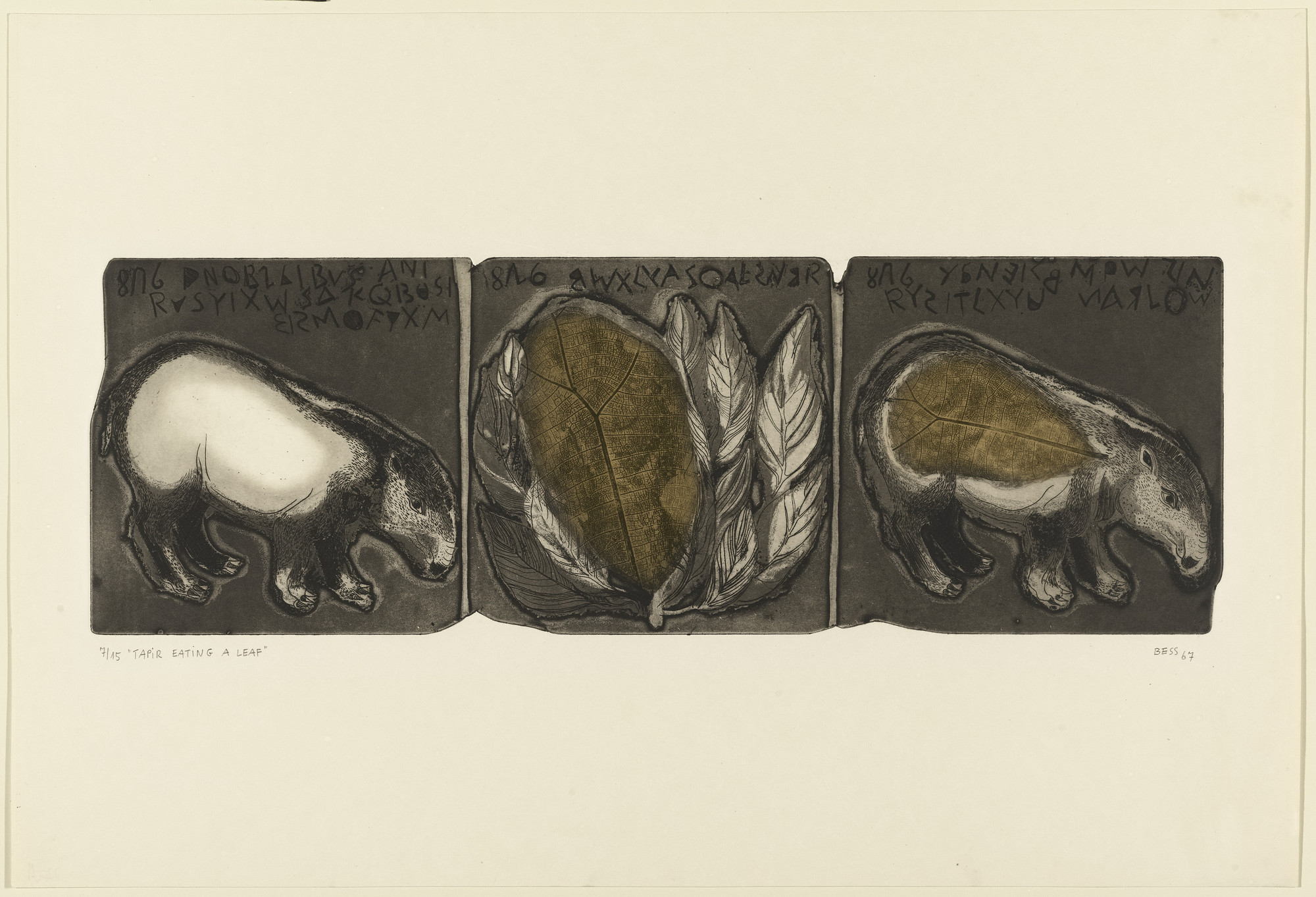 Ruth Bessoudo Courvoisier. Tapir Eating a Leaf (Tapir comiendo una hoja). 1967