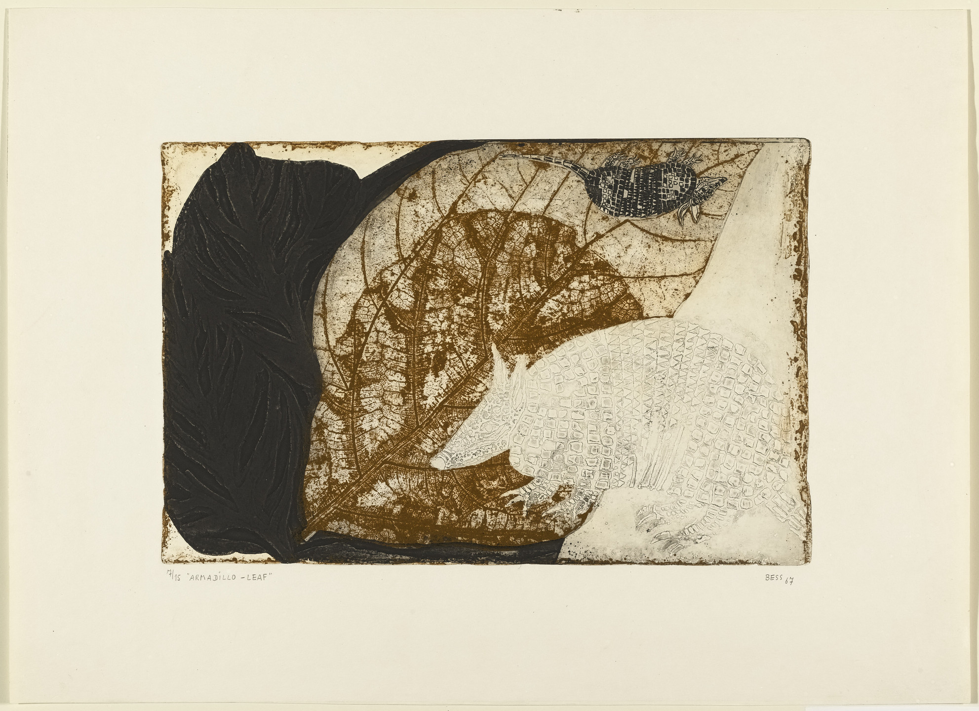 Ruth Bessoudo Courvoisier. Armadillo-Leaf. 1967
