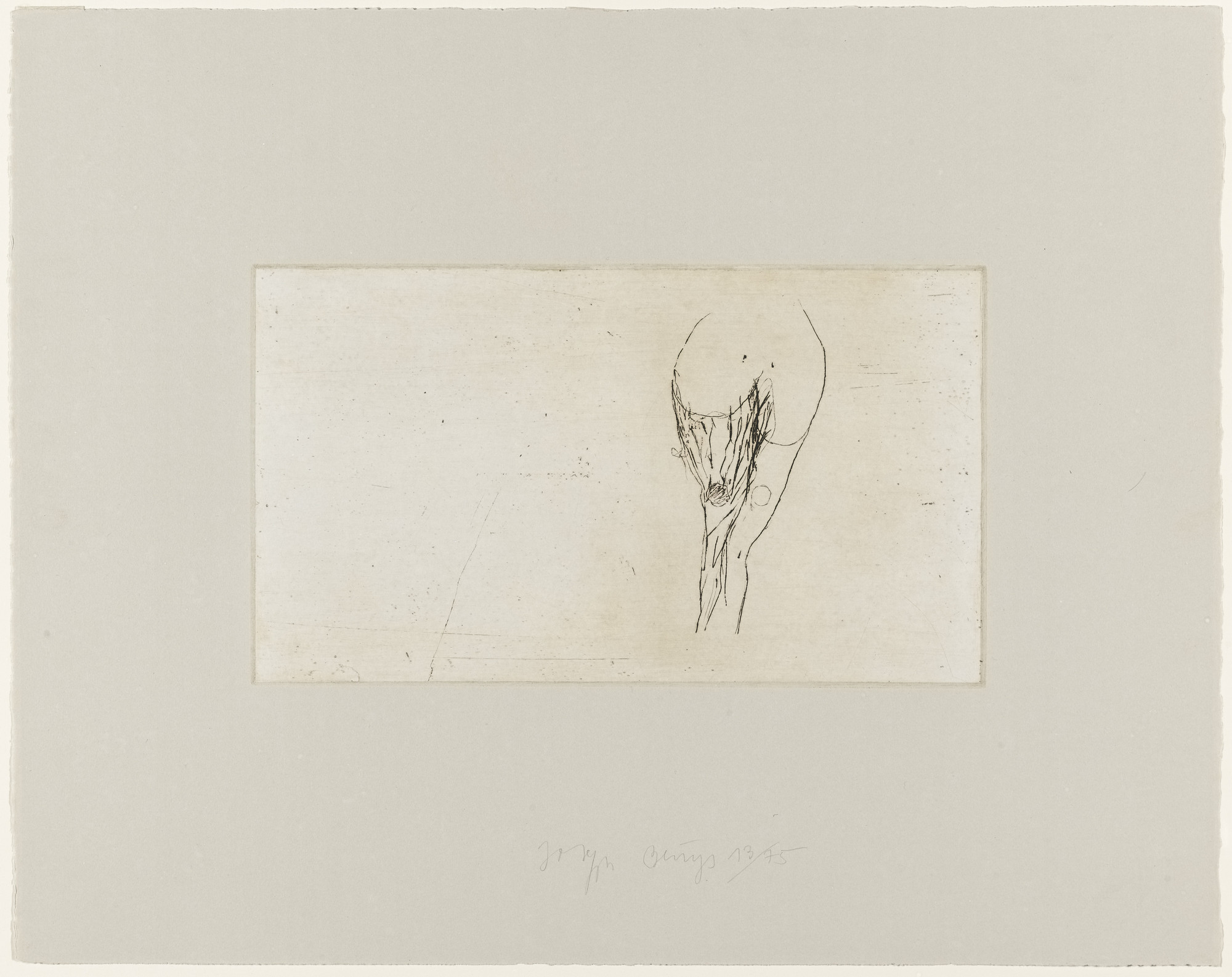 Joseph Beuys. Female Torso (Frauentorso)